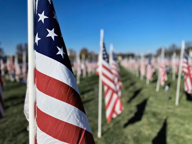 Veteran's Day flags in a cemetary